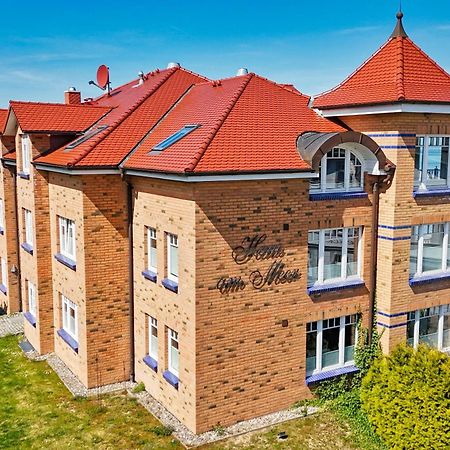 Ferienwohnung Mit Traumhaftem Meerblick - Haus Am Meer Fewo 01 Lohme Buitenkant foto