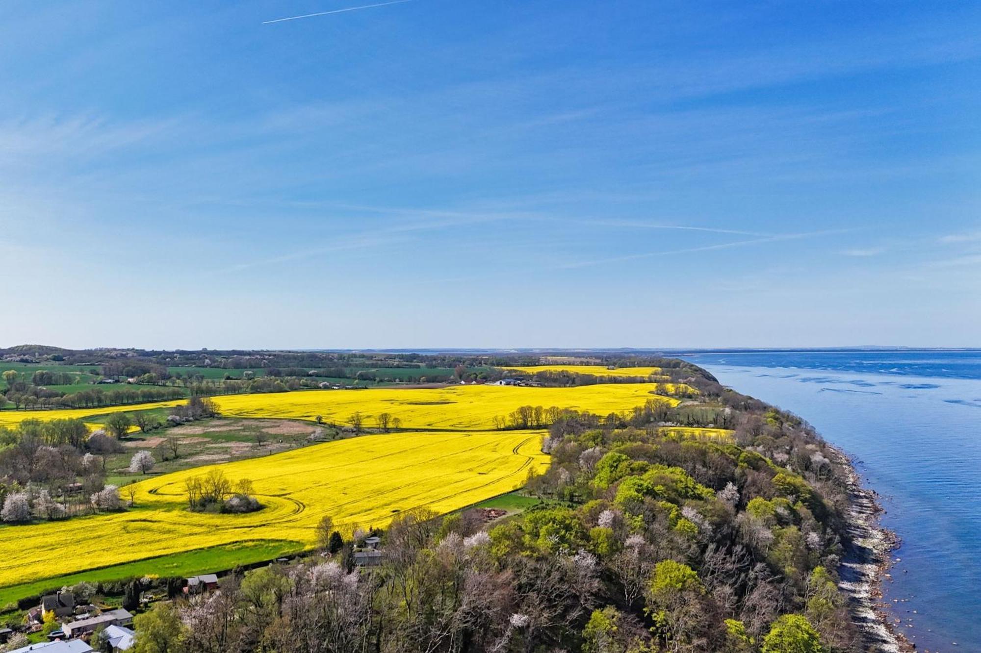 Ferienwohnung Mit Traumhaftem Meerblick - Haus Am Meer Fewo 01 Lohme Buitenkant foto
